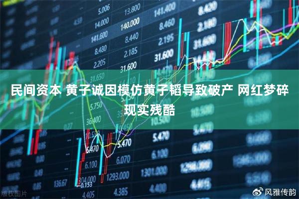 民间资本 黄子诚因模仿黄子韬导致破产 网红梦碎现实残酷